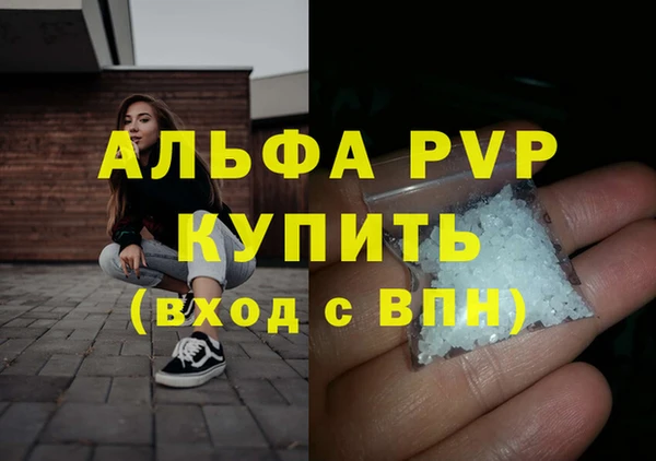 прущие грибы Верея