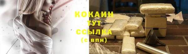 прущие грибы Верея