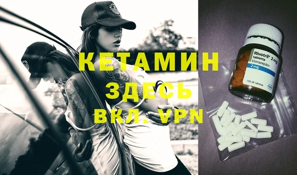прущие грибы Верея