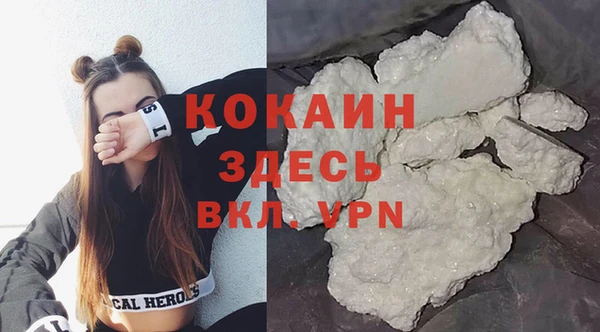 прущие грибы Верея