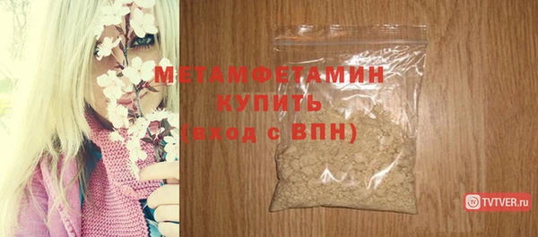 прущие грибы Верея