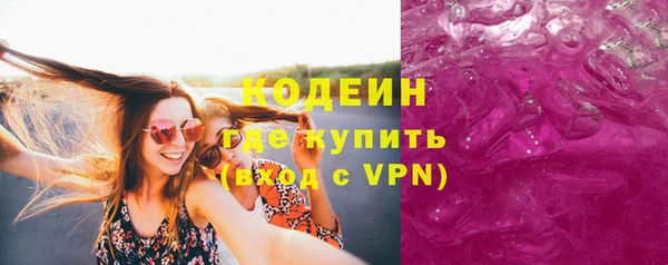прущие грибы Верея
